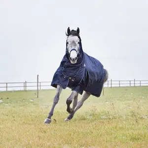Paardendeken voor buiten in het tussenseizoen Horze Combo Avalanche - 1200D 150g image-0