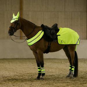 29012-150-reflective-horse-harness-horze-aurora-yellow