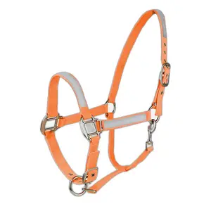 Halter for horse Horze image-0