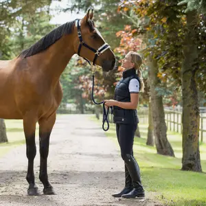 Letvægtsdunjakke uden ærmer til kvinder Horze Amber image-1