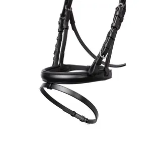 Combined noseband bridle for pony Horze Rainbow Dash image-2