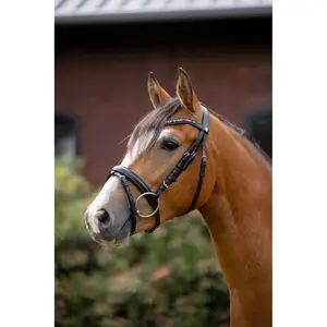 Combined noseband bridle for pony Horze Rainbow Dash image-5
