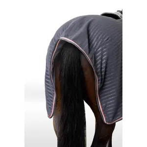 Hindquarters Cover Horze Physical Sophistication image-4