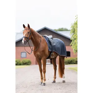 Hindquarters Cover Horze Physical Sophistication image-1