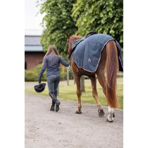Hindquarters Cover Horze Physical Sophistication image-2