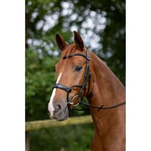 Anatomical riding bridle Horze Chio image-3
