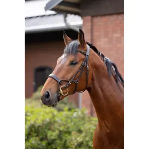 Anatomical riding bridle Horze Chio image-3