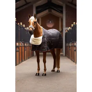 Shoulder protector for horses Horze Confort image-3