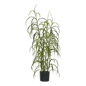 Indendørs plante House Nordic (x4) image-0