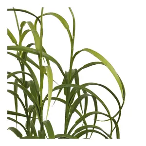 Indendørs plante House Nordic (x4) image-3