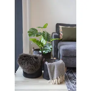 Plaid en cotton House Nordic Cort image-1