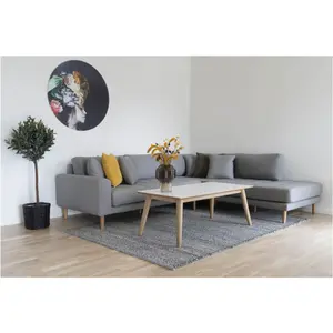 Living room carpets House Nordic Ohio image-2