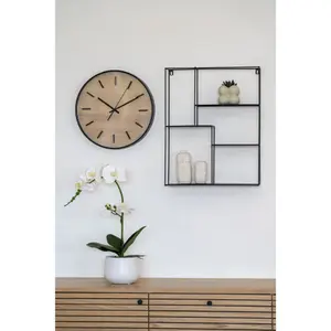 Φυτό εσωτερικού χώρου House Nordic Orchid (x8) image-1