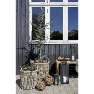 Kubu rattan storage basket with handles and interior in House Nordic Indo (x2) image-1