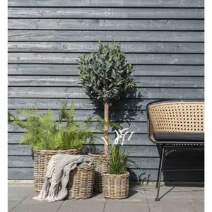 Cesto de arrumação House Nordic Bogor (x4) image-2