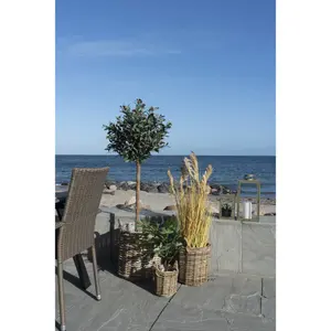 Kubu rattan storage basket with handles and plastic lining, round House Nordic Sema (x3) image-1