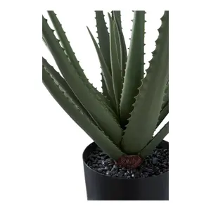 Φυτό εσωτερικού χώρου House Nordic Aloe Vera (x4) image-2