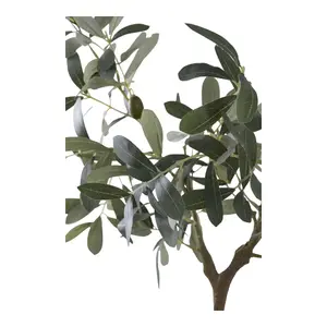 Φυτό εσωτερικού χώρου House Nordic Olive Tree image-2