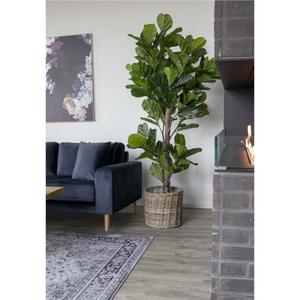 Artificial plant House Nordic Fiddle Leaf image-1