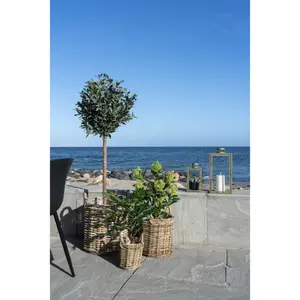 Albero artificiale House Nordic Fig image-1