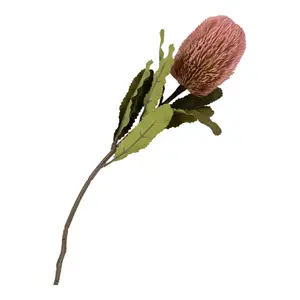 Buket House Nordic King Protea image-3