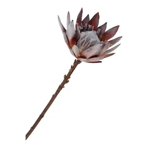 Buket House Nordic King Protea image-4