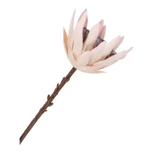 Μπουκέτο House Nordic King Protea image-2