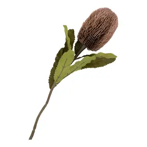 Μπουκέτο House Nordic King Protea image-3