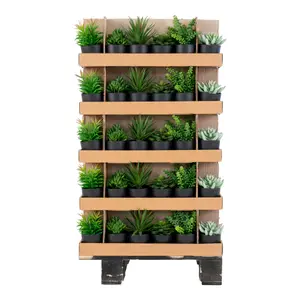 120er Pack Töpfe mit künstlichen Blumen House Nordic Pino image-2