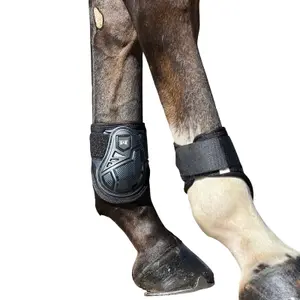 Fetlock protectors T de T Graphène image-3