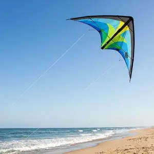 Kite HQ-Invento Tyro R2F image-2