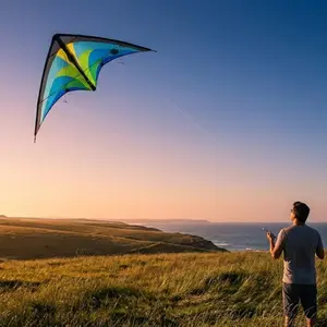 Kite HQ-Invento Tyro R2F image-3