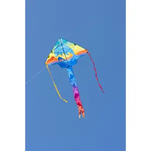 Single line kite HQ-Invento Ecoline (x6) image-1