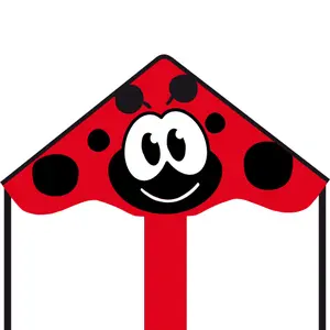 Single line kite HQ-Invento Ecoline (x6) image-0