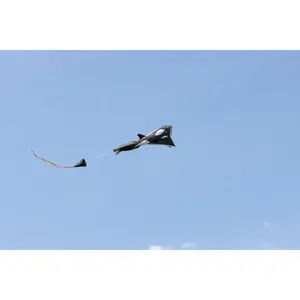 Kite HQ-Invento Parafoil Kite Orca image-3