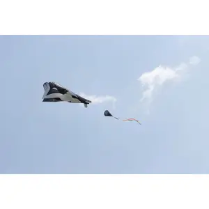 Kite HQ-Invento Parafoil Kite Orca image-4