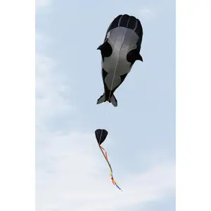 Kite HQ-Invento Parafoil Kite Orca image-5