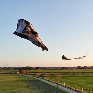 Kite HQ-Invento Parafoil Kite Orca image-6