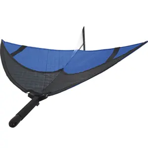 Jogos de exterior planador HQ Kites Airglider Easy image-0