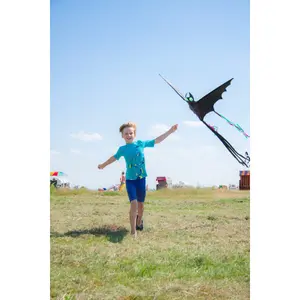 Kite HQ Kites Bat image-1