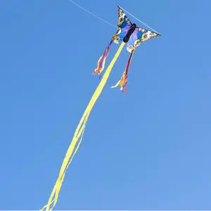 Kite HQ Kites Butterfly image-2