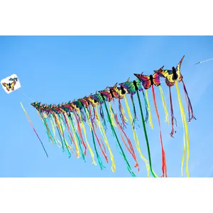 χαρταετός HQ Kites Butterfly image-3