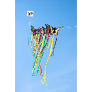 Drachen HQ Kites Butterfly image-3
