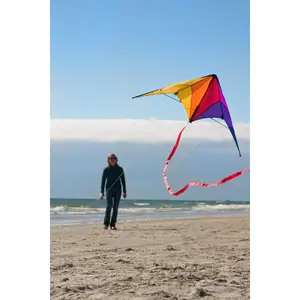 Kite HQ Kites Calypso II image-2