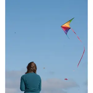 Kite HQ Kites Calypso II image-3