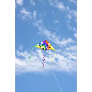 Kite HQ Kites Delta image-3