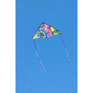 Drachen HQ Kites Delta Tie Dye image-2