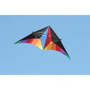 Drachen HQ Kites Delta Sport image-2