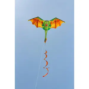 Cerf-volant HQ Kites Blaze The Dragon Kite image-1