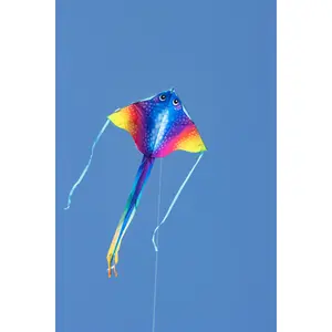 Drachen HQ Kites Delta Eco image-1